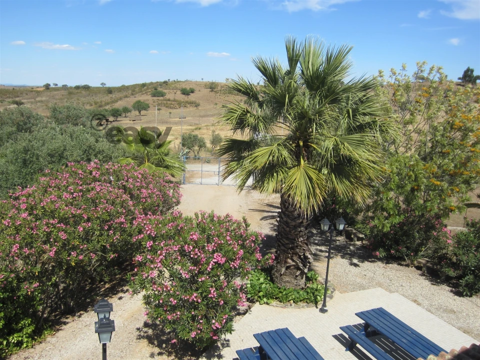 Quinta T0 para Venda em Amieira e Alqueva Foto 13