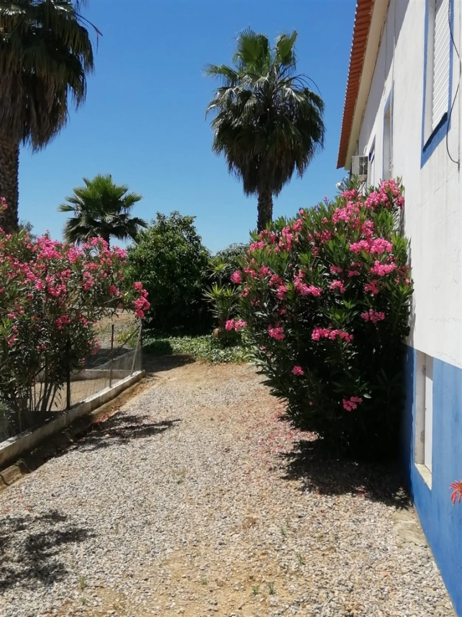 Quinta T0 para Venda em Amieira e Alqueva Foto 10