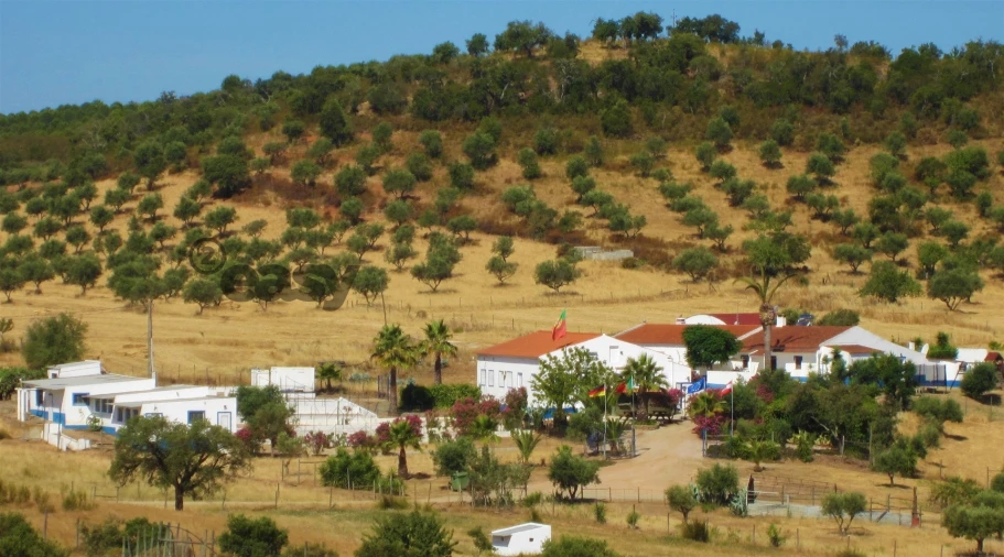 Quinta T0 para Venda em Amieira e Alqueva Foto 75