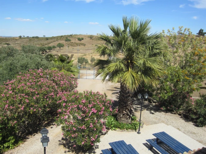 Quinta T0 para Venda em Amieira e Alqueva Foto 13