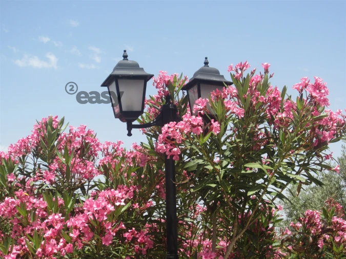 Quinta T0 para Venda em Amieira e Alqueva Foto 16