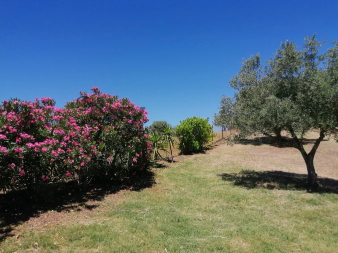 Quinta T0 para Venda em Amieira e Alqueva Foto 64