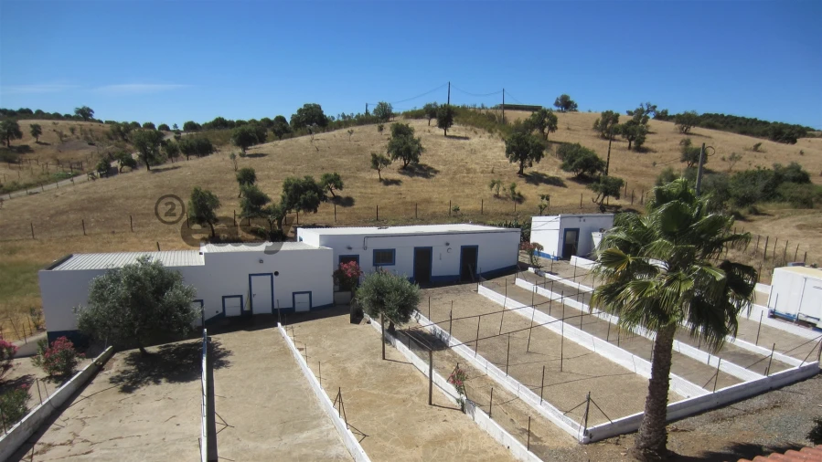 Quinta T0 para Venda em Amieira e Alqueva Foto 6