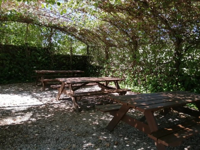 Quinta T0 para Venda em Amieira e Alqueva Foto 22