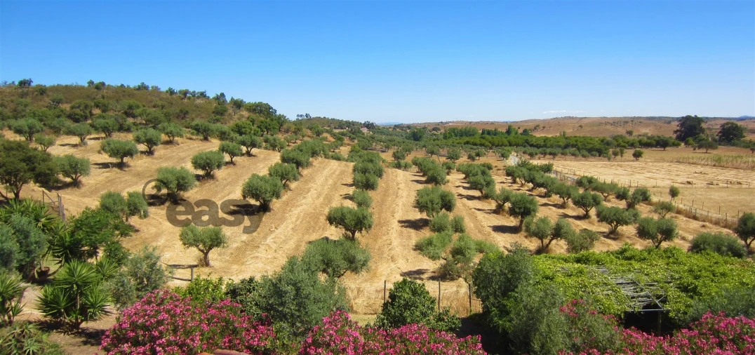 Quinta T0 para Venda em Amieira e Alqueva Foto 72