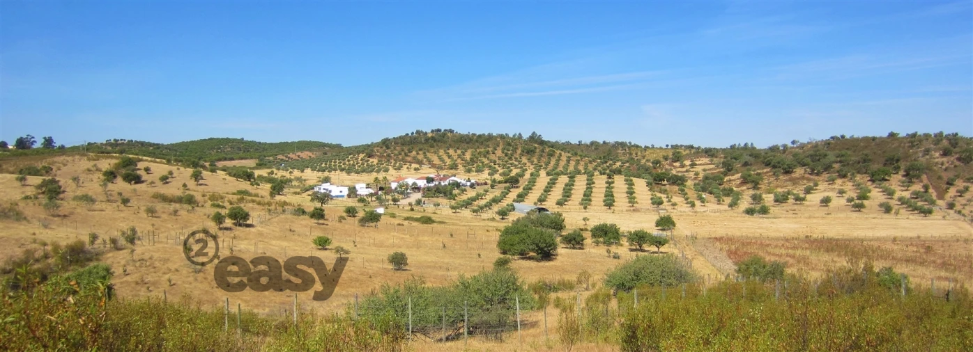 Quinta T0 para Venda em Amieira e Alqueva Foto 74