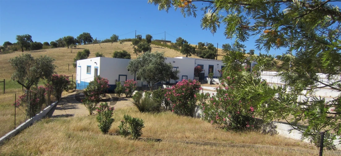 Quinta T0 para Venda em Amieira e Alqueva Foto 66
