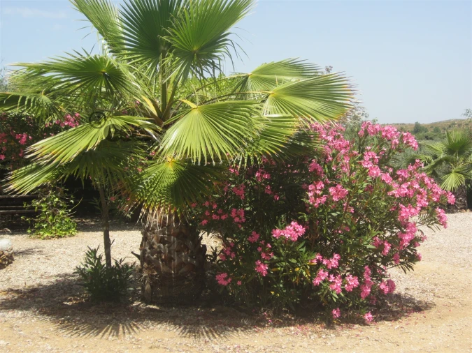 Quinta T0 para Venda em Amieira e Alqueva Foto 18