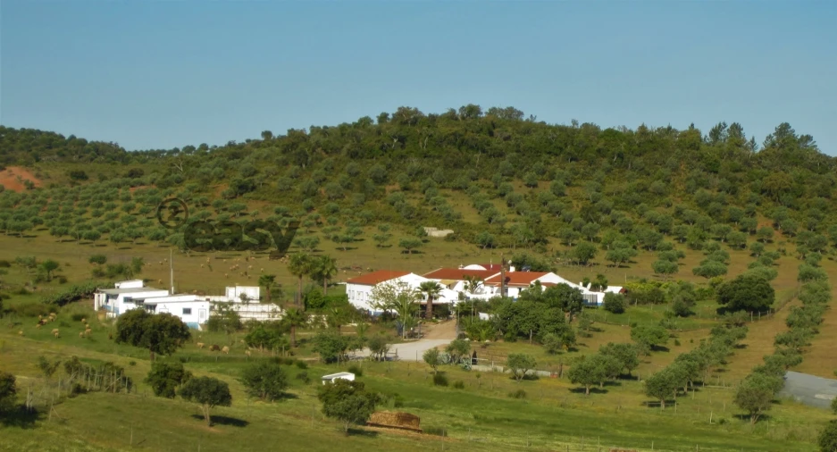 Quinta T0 para Venda em Amieira e Alqueva Foto 68