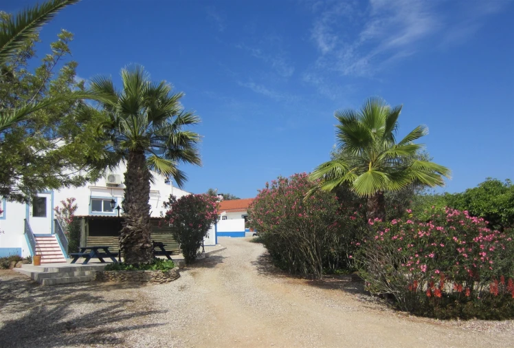 Quinta T0 para Venda em Amieira e Alqueva Foto 11