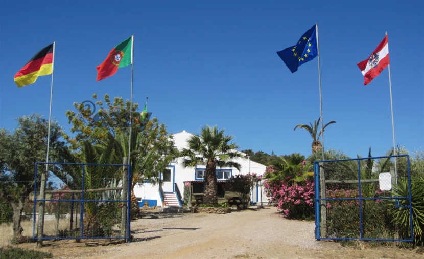 Quinta T0 para Venda em Amieira e Alqueva Foto 3