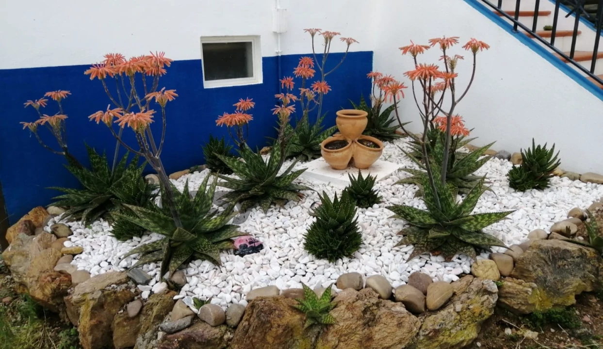 Quinta T0 para Venda em Amieira e Alqueva Foto 15