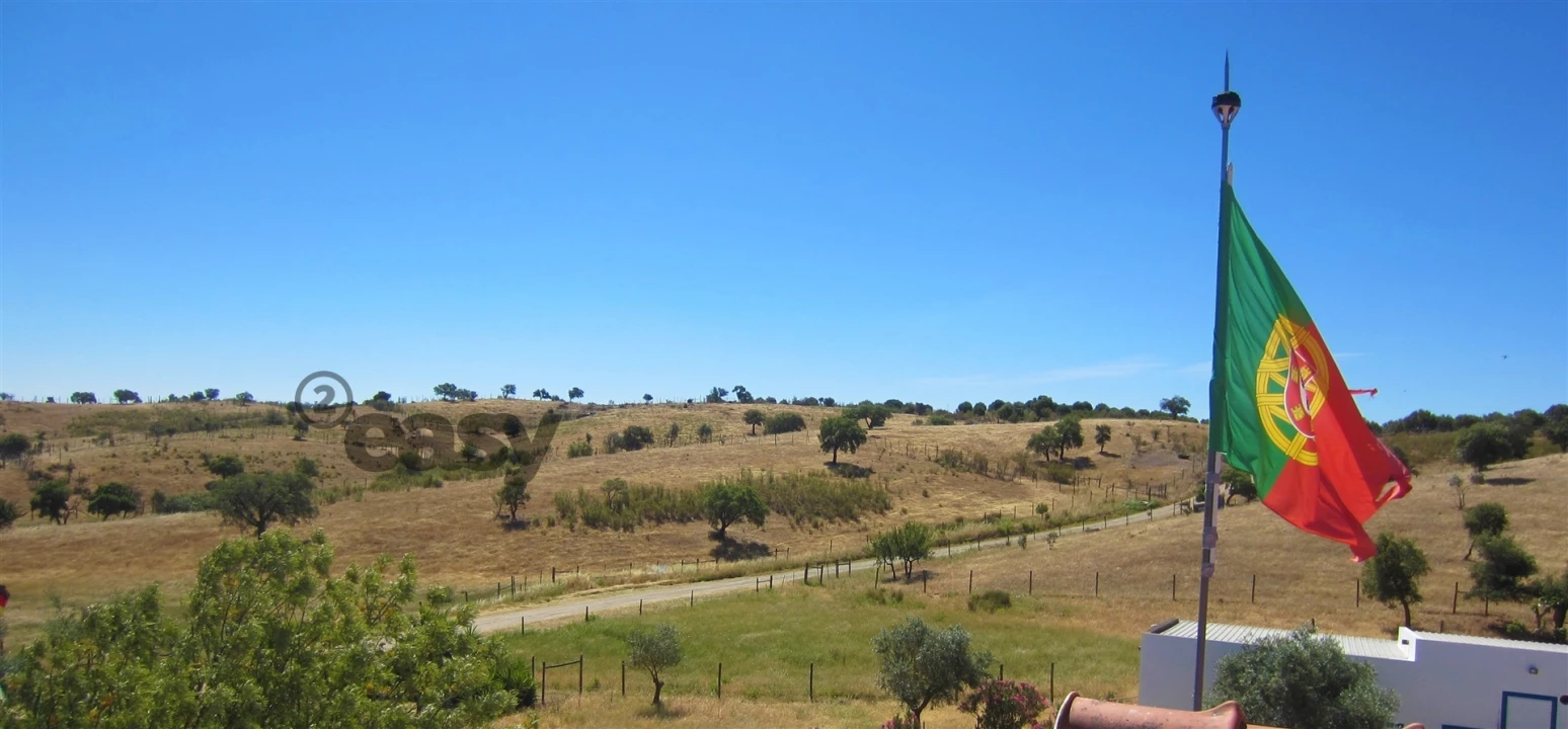 Quinta T0 para Venda em Amieira e Alqueva Foto 69