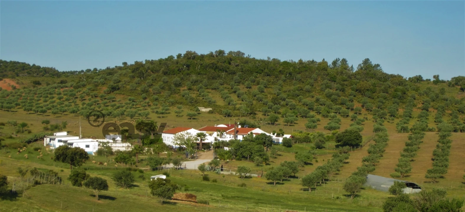 Quinta T0 para Venda em Amieira e Alqueva Foto 95