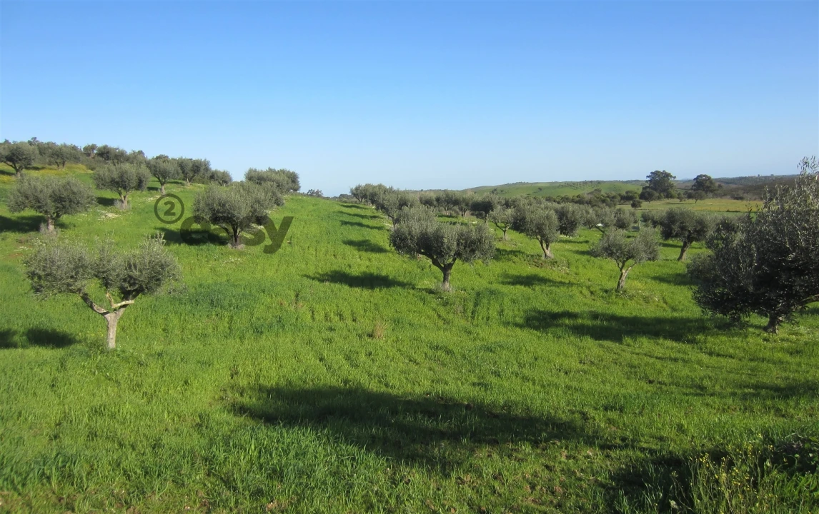 Quinta T0 para Venda em Amieira e Alqueva Foto 71