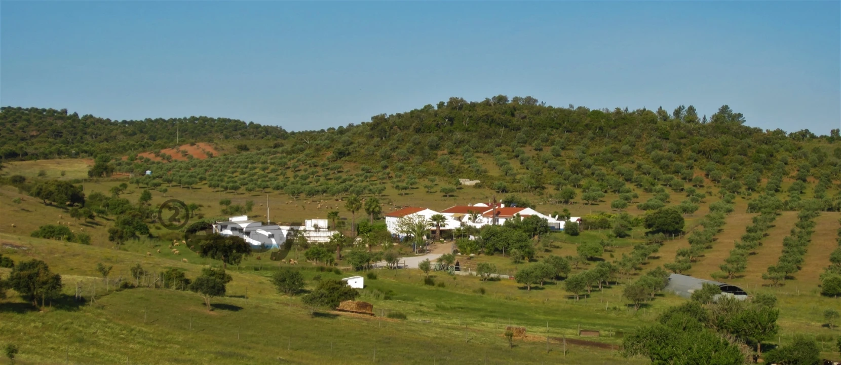 Quinta T0 para Venda em Amieira e Alqueva Foto 96