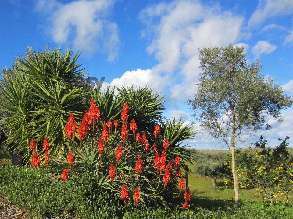 Quinta T0 para Venda em Amieira e Alqueva Foto 19
