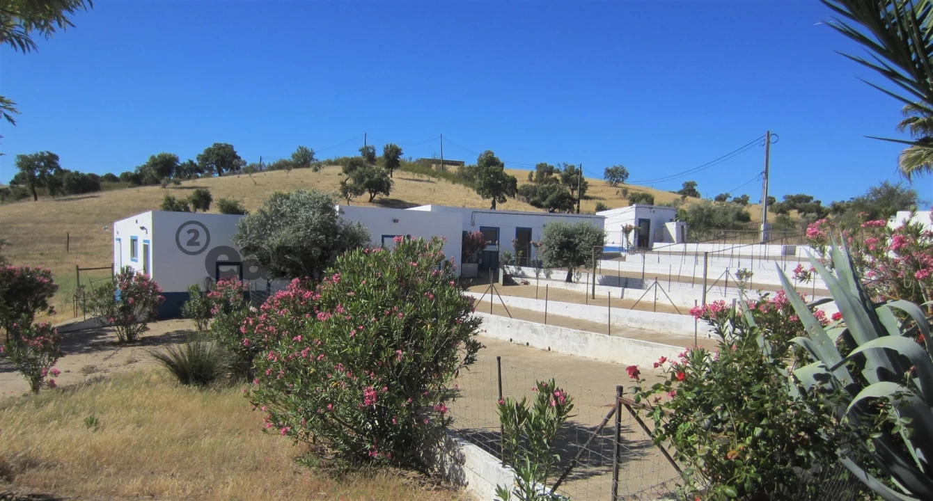 Quinta T0 para Venda em Amieira e Alqueva Foto 67