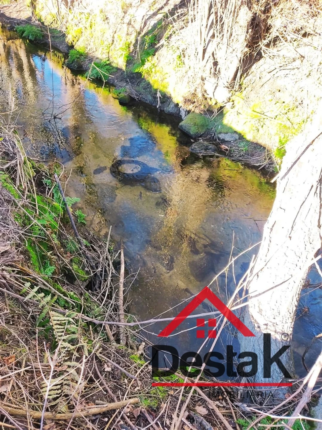 Terreno Agricola ou Rústico para Venda em Queirã Foto 10
