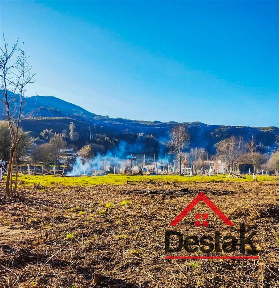 Terreno Agricola ou Rústico para Venda em Queirã Foto 14