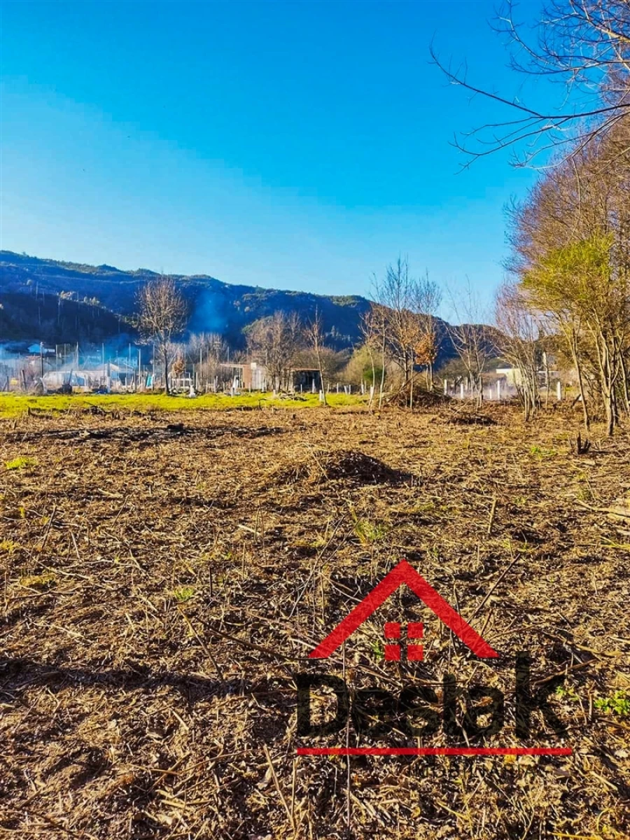 Terreno Agricola ou Rústico para Venda em Queirã Foto 13