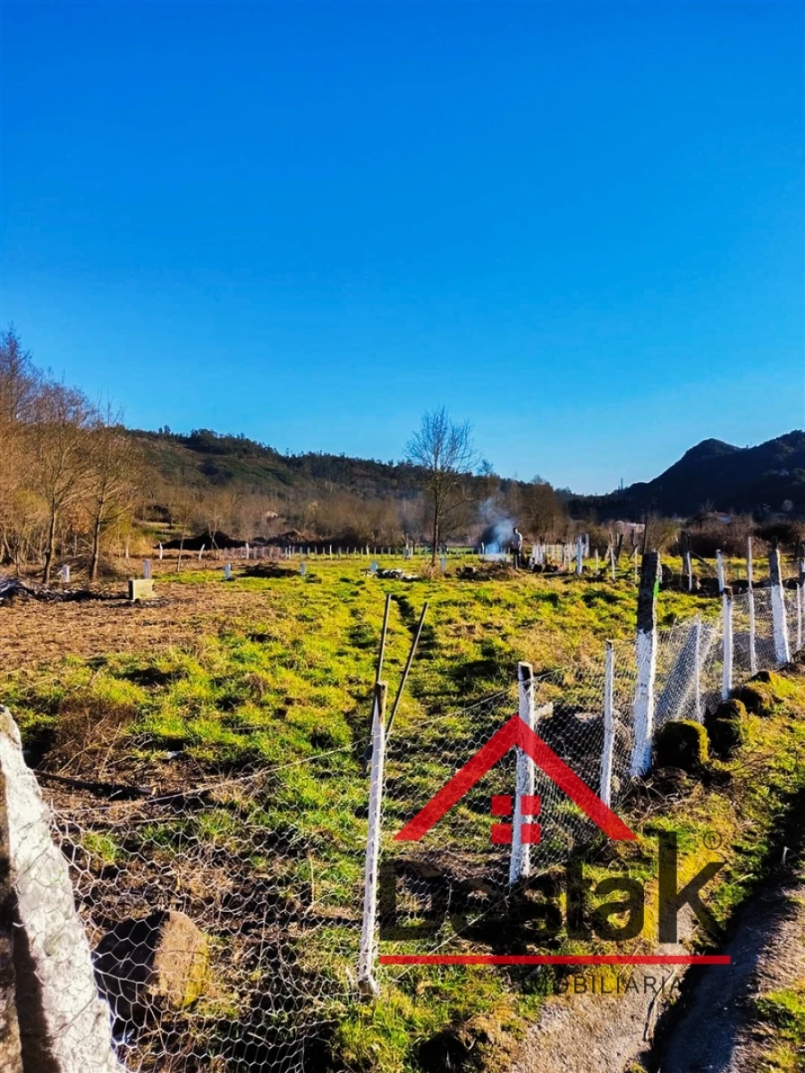 Terreno Agricola ou Rústico para Venda em Queirã Foto 4