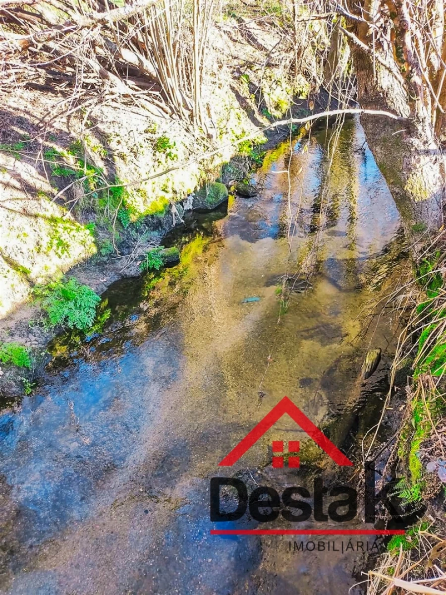 Terreno Agricola ou Rústico para Venda em Queirã Foto 11