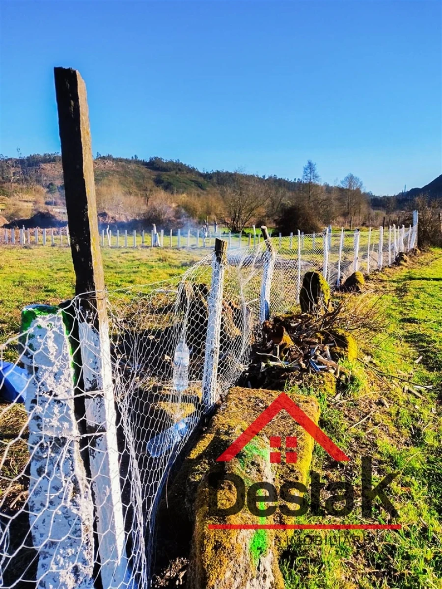 Terreno Agricola ou Rústico para Venda em Queirã Foto 6