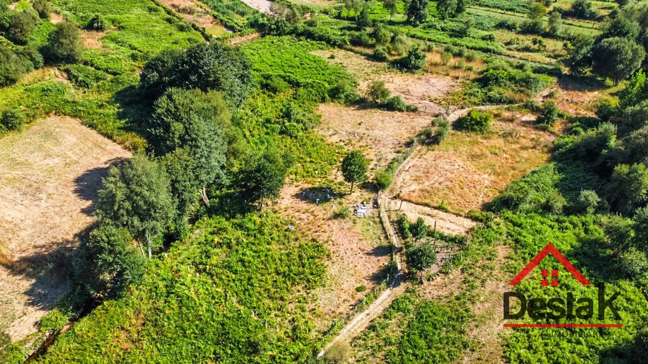 Terreno Agricola ou Rústico para Venda em Queirã Foto 1