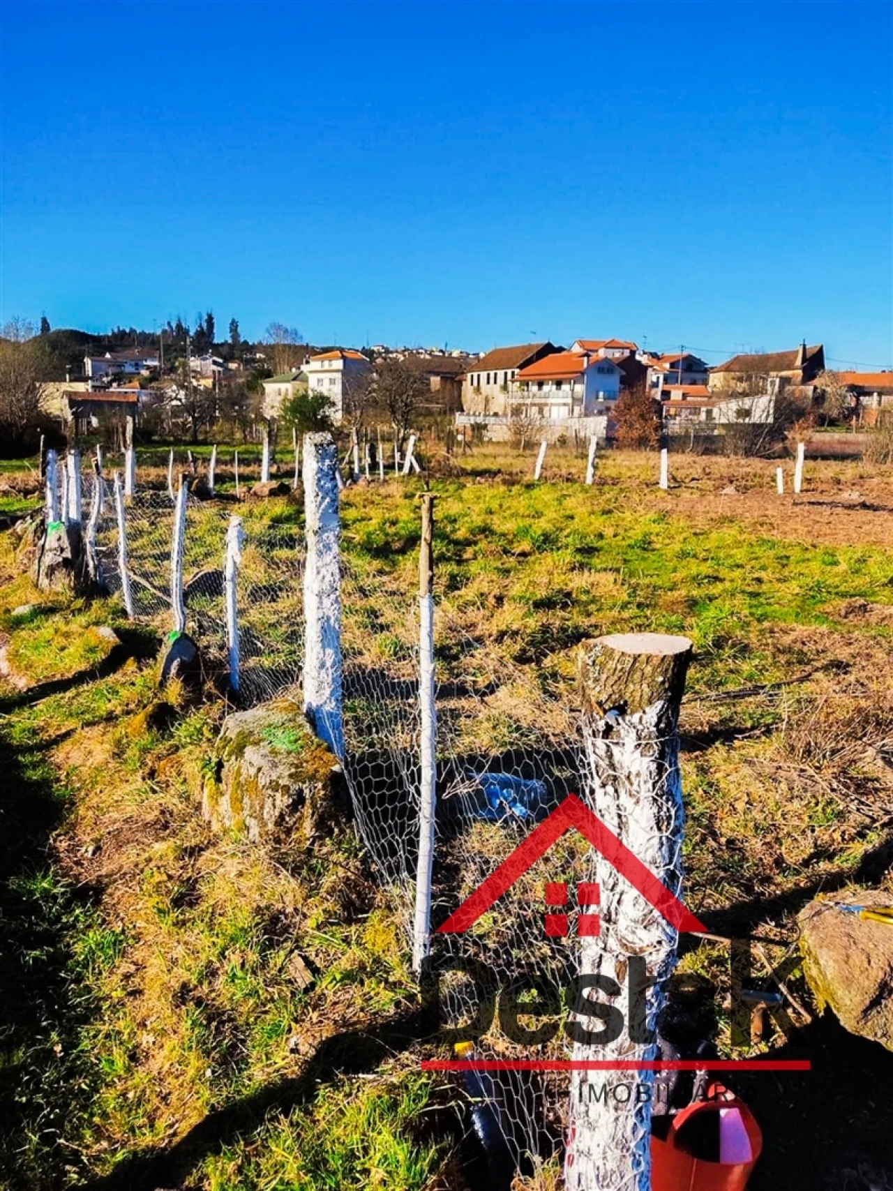Terreno Agricola ou Rústico para Venda em Queirã Foto 9