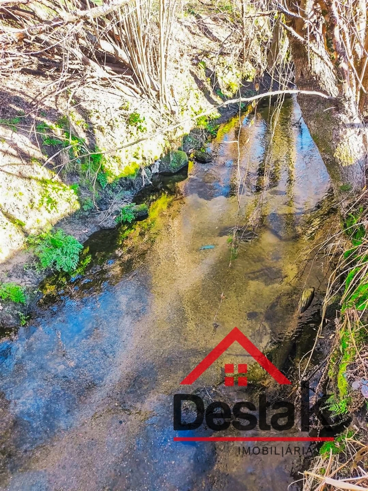 Terreno Agricola ou Rústico para Venda em Queirã Foto 11