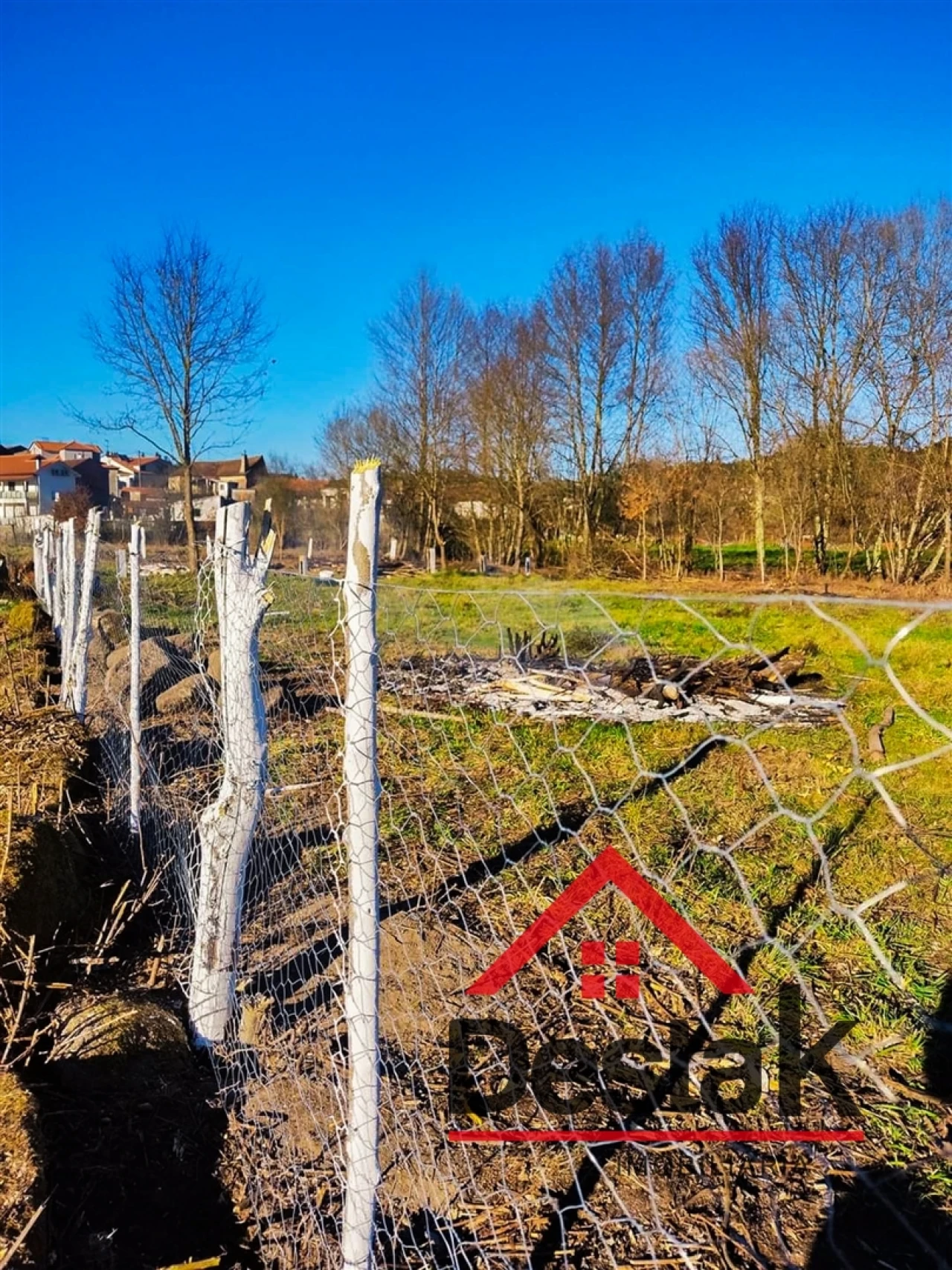 Terreno Agricola ou Rústico para Venda em Queirã Foto 8