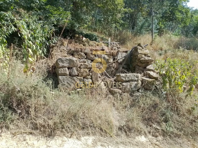 Terreno Agricola ou Rústico para Venda em São Cristovão de Nogueira Foto 1