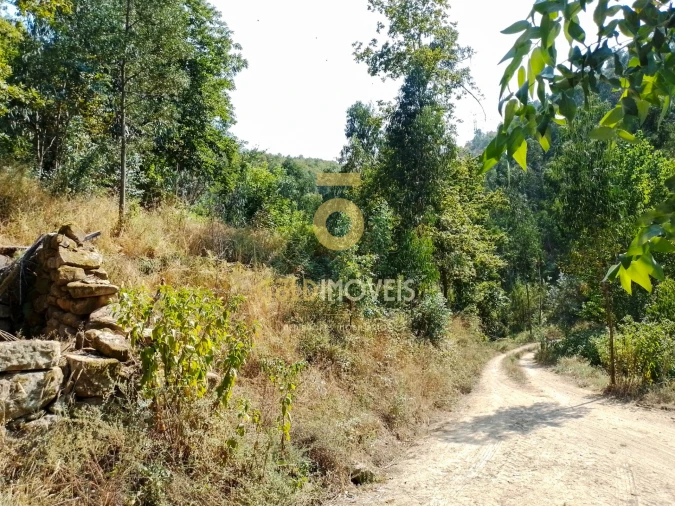 Terreno Agricola ou Rústico para Venda em São Cristovão de Nogueira Foto 3