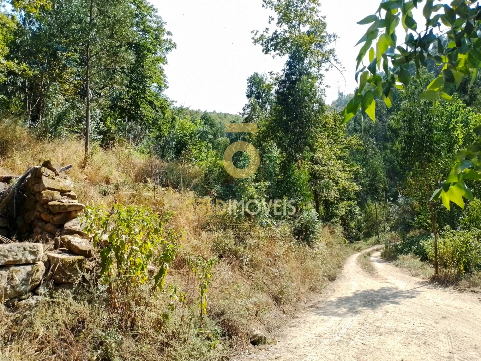 Terreno Agricola ou Rústico para Venda em São Cristovão de Nogueira Foto 3