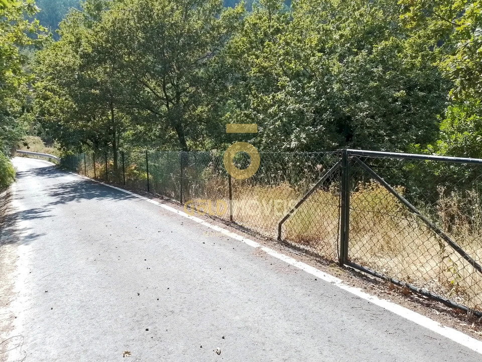 Terreno Agricola ou Rústico para Venda em São Cristovão de Nogueira Foto 10