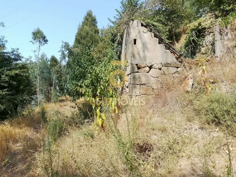 Terreno Agricola ou Rústico para Venda em São Cristovão de Nogueira Foto 3