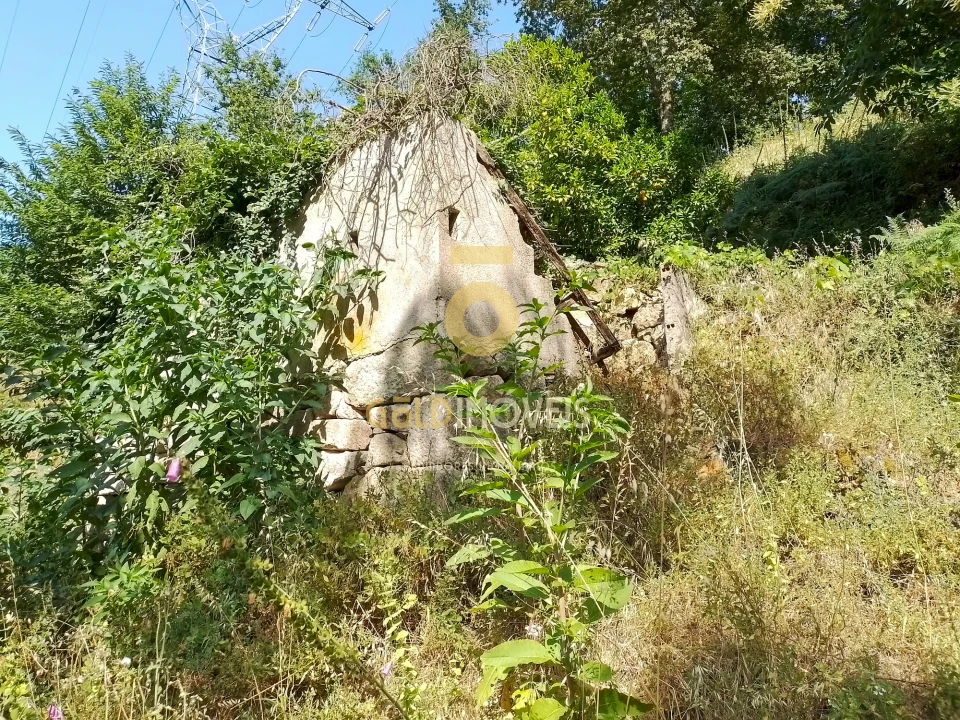 Terreno Agricola ou Rústico para Venda em São Cristovão de Nogueira Foto 8