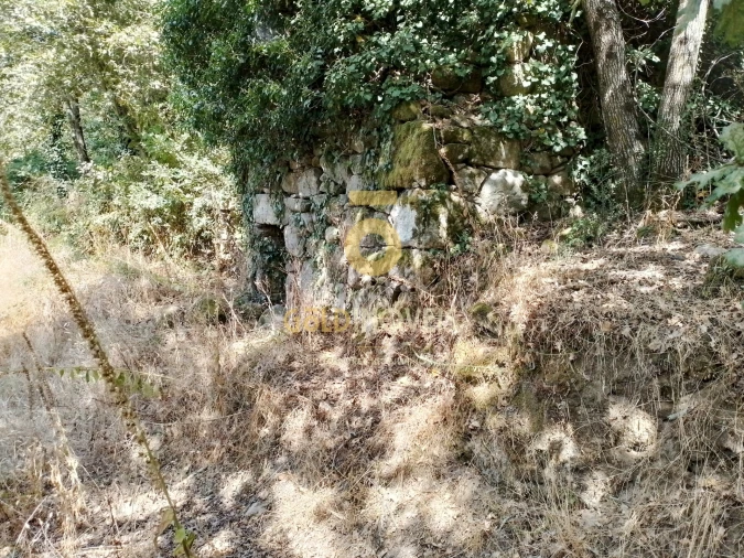 Terreno Agricola ou Rústico para Venda em São Cristovão de Nogueira Foto 11