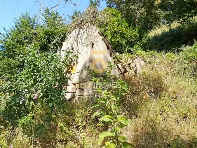 Terreno Agricola ou Rústico para Venda em São Cristovão de Nogueira Foto 8