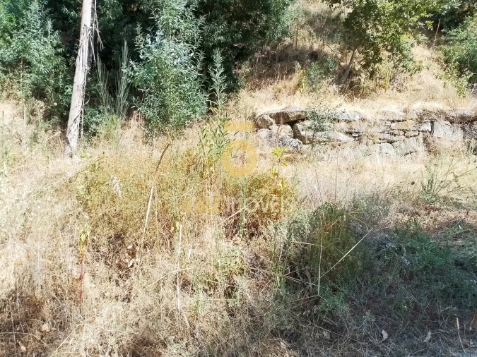 Terreno Agricola ou Rústico para Venda em São Cristovão de Nogueira Foto 4