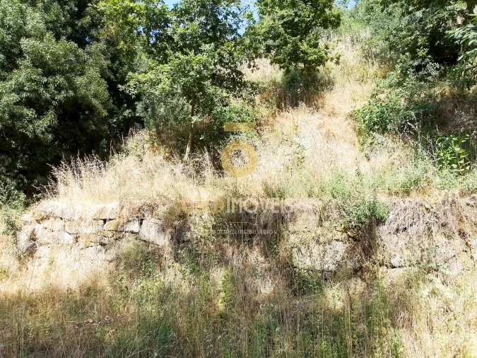 Terreno Agricola ou Rústico para Venda em São Cristovão de Nogueira Foto 7