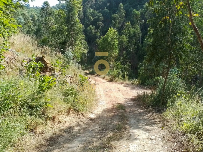 Terreno Agricola ou Rústico para Venda em São Cristovão de Nogueira Foto 6