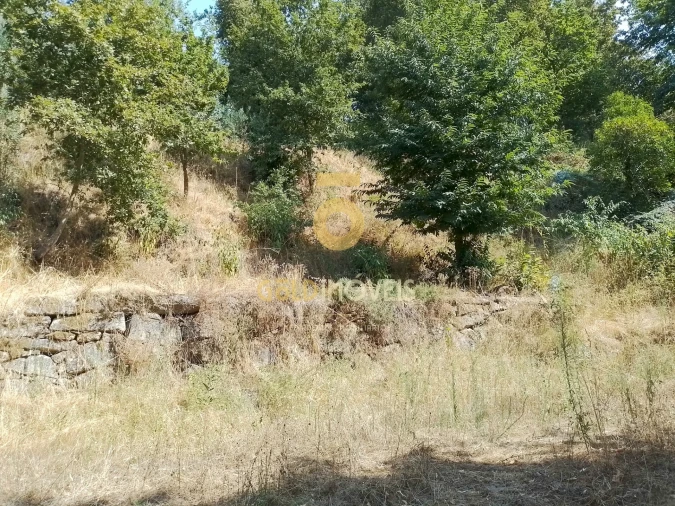 Terreno Agricola ou Rústico para Venda em São Cristovão de Nogueira