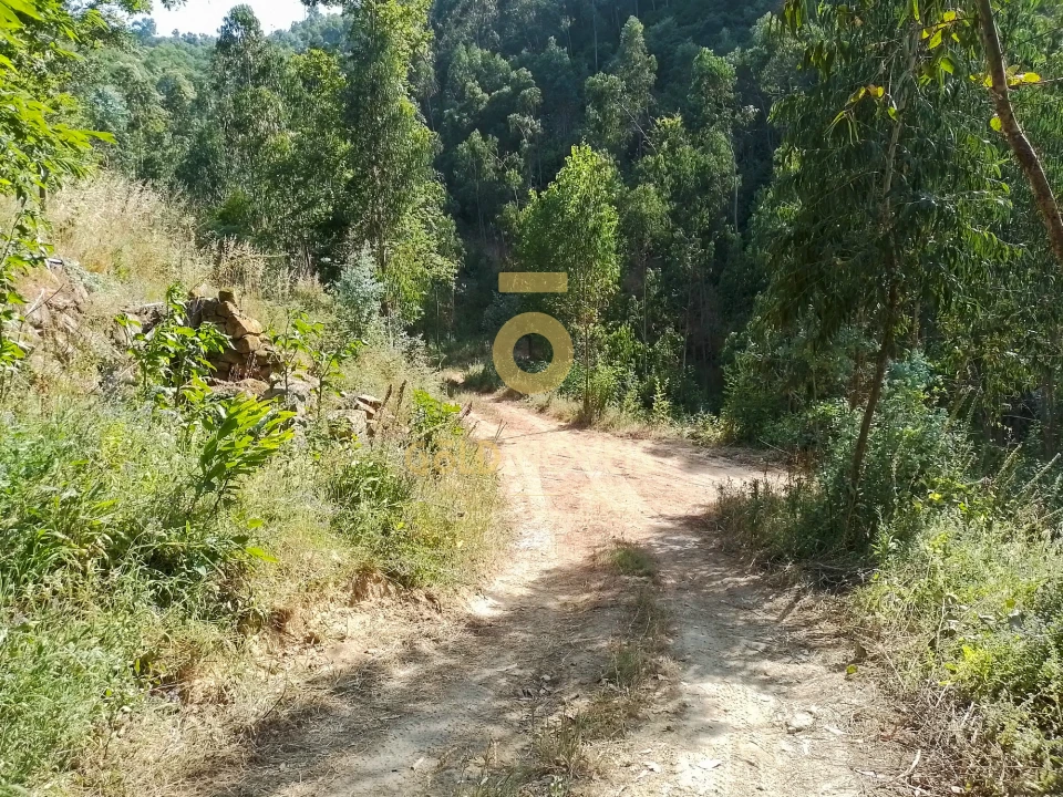 Terreno Agricola ou Rústico para Venda em São Cristovão de Nogueira Foto 6