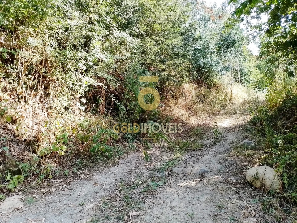 Terreno Agricola ou Rústico para Venda em São Cristovão de Nogueira Foto 5