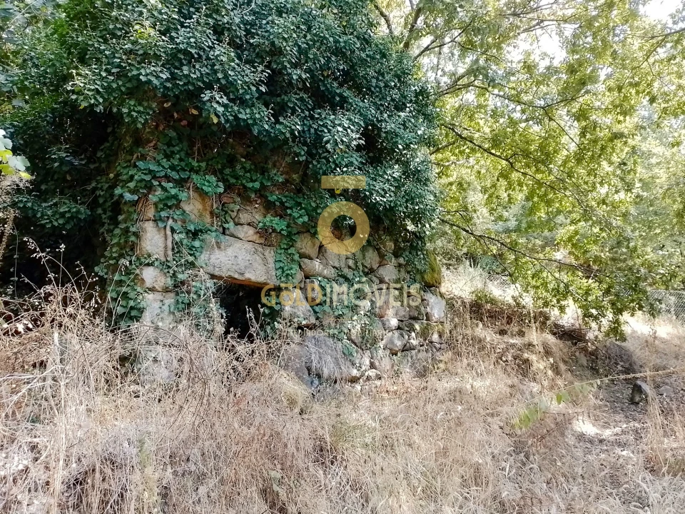 Terreno Agricola ou Rústico para Venda em São Cristovão de Nogueira Foto 2