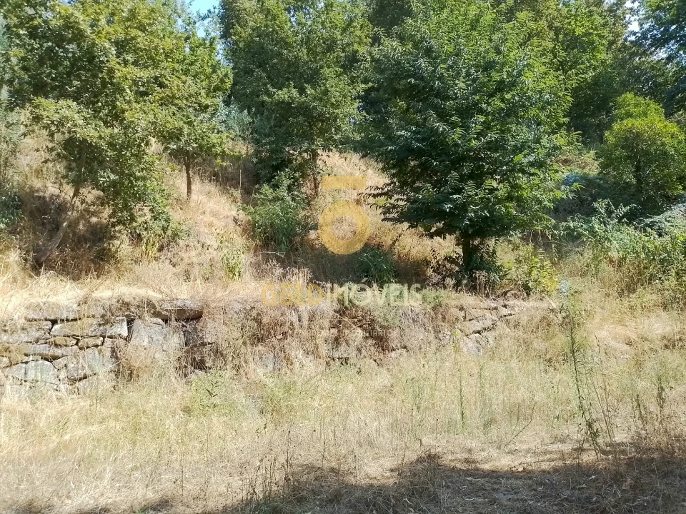 Terreno Agricola ou Rústico para Venda em São Cristovão de Nogueira Foto 1