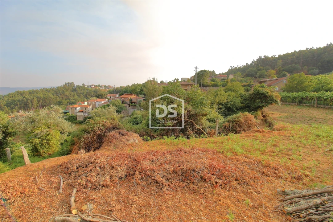Terreno para Venda em Canelas Foto 7