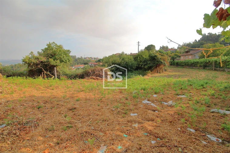 Terreno para Venda em Canelas Foto 6